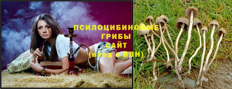 Псилоцибиновые грибы MAGIC MUSHROOMS  hydra ТОР  Белогорск 